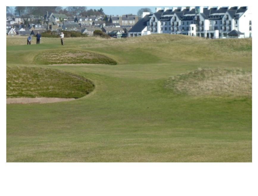 Park House Bed & Breakfast Carnoustie Exterior photo